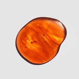 Шампоан Tea Tree Special Color official image 2